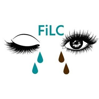 fondationilc.com